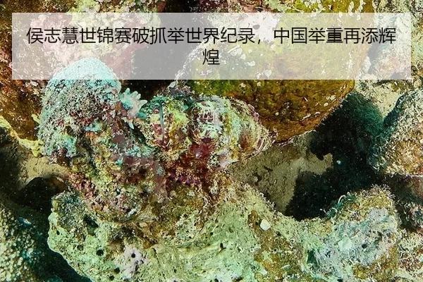 hou-zhi-hui-shi-jin-sai-po-zhua-ju-shi-jie-ji-lu-zhong-guo-ju-zhong-zai-tian-hui-huang-3-237.jpg