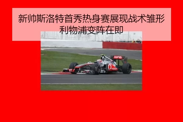 xin-shuai-si-luo-te-shou-xiu-re-shen-sai-zhan-xian-zhan-shu-chu-xing-li-wu-pu-bian-zhen-zai-ji-3-511.jpg