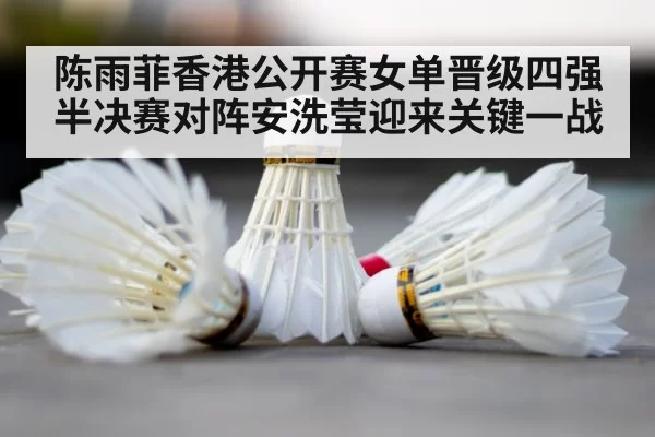 badminton court shuttlecock